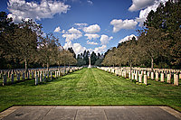 Bernhard Saalfeld - Cologne War Cemetery